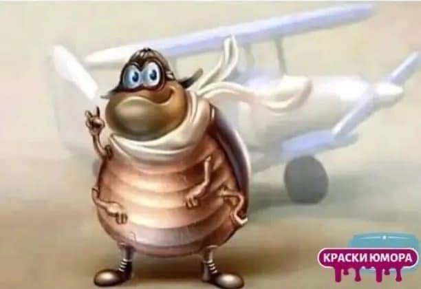 ЛЮБОВЬ УСАЧЕЙ